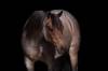 image00001