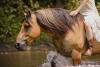 image00004