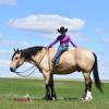 OneTon_HansenPerformanceHorsesWeb10