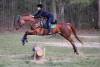 image00010