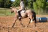 image00009