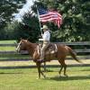 fieldhorse_photo_1623161784265Smoken-Red-Badger-aka-Whiskey-a-Handy-Calm-and-Versatile-Lit-Horse-8