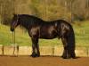 _91A1411-2 copy