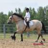 OneTon_HansenPerformanceHorsesWeb16