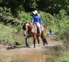 fieldhorse_photo_1623161784265Ariat3.0-7
