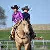 OneTon_HansenPerformanceHorsesWeb2