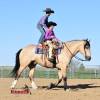 OneTon_HansenPerformanceHorsesWeb11
