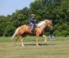 fieldhorse_photo_1623161784265Cinco1-4