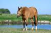 294c4d2401f5598c33606f5466578325-scaled