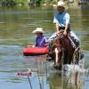Tarzan_HansenPerformanceHorsesWeb11