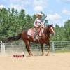Tarzan_HansenPerformanceHorsesWeb3