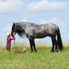 Sasquatch_HansenPerformanceHorsesWeb2