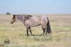 image00003