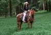 image00005