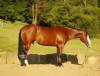 _91A9956-2 copy