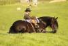 _91A1814-2 copy