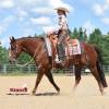Tarzan_HansenPerformanceHorsesWeb12