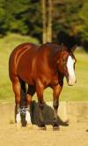 _91A9977-2 copy