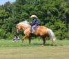 fieldhorse_photo_1623161784265Cinco1-6