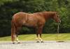 _91A6708-2 copy
