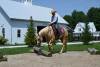 image00003