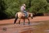 _DSC4622
