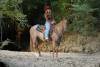image00017