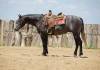 1754882465-fieldhorse_photo_1623161784265CR-Trace-Bardell-1
