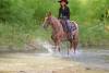 image00007