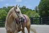 image00005