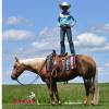 Minion_HansenPerformanceHorsesWeb7