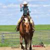 Minion_HansenPerformanceHorsesWeb1