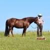 Tarzan_HansenPerformanceHorsesWeb10