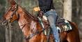 image00015