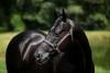 image00001