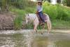 image00003