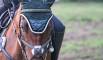 image00001