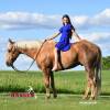 Minion_HansenPerformanceHorsesWeb4