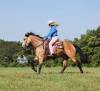 fieldhorse_photo_1623161784265Ariat3.0-4