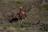 _DSC1022