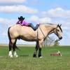 OneTon_HansenPerformanceHorsesWeb9