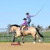 OneTon_HansenPerformanceHorsesWeb12
