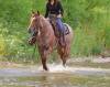 image00008