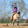 OneTon_HansenPerformanceHorsesWeb13