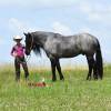 Sasquatch_HansenPerformanceHorsesWeb10